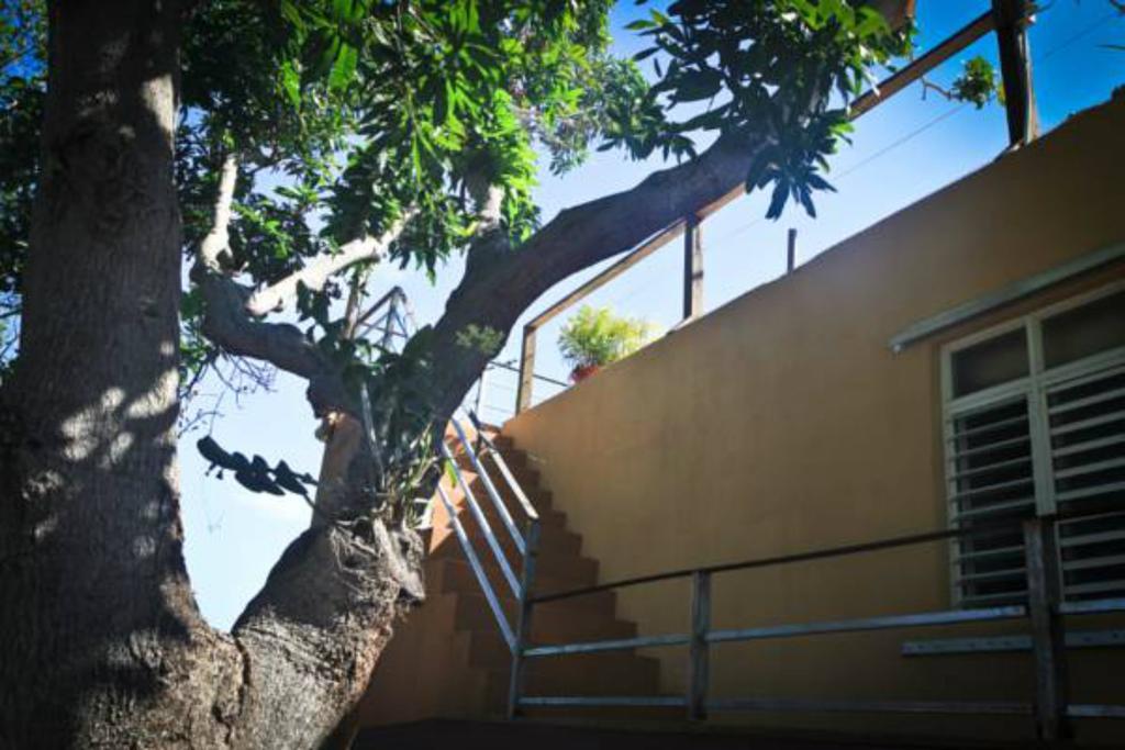 Villa Coral Guesthouse Vieques Zewnętrze zdjęcie